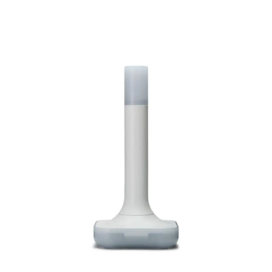 Home Assistant ZBT-2 Connect Zigbee / Thread Adapter