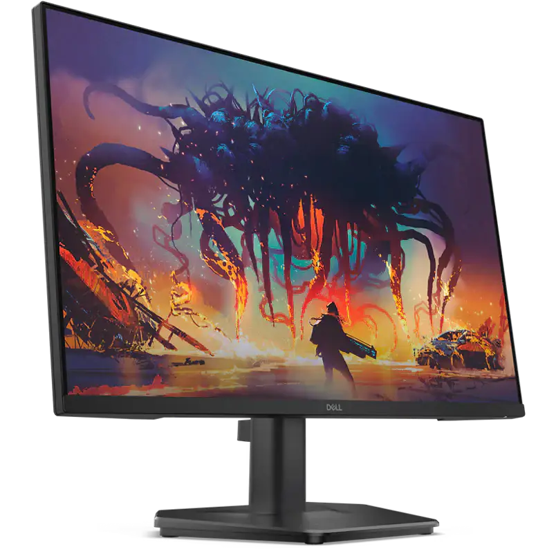 Dell 24 200Hz Full HD IPS Monitor - SE2425HG