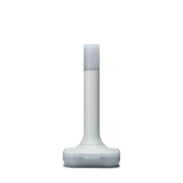 Home Assistant ZBT-2 Connect Zigbee / Thread Adapter