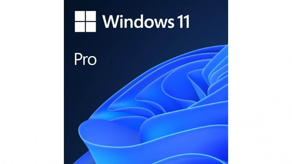 Microsoft Windows 11 Professional 64-bit OEM Software USB Drive