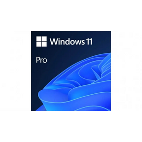Microsoft Windows 11 Professional 64-bit OEM Software USB Drive
