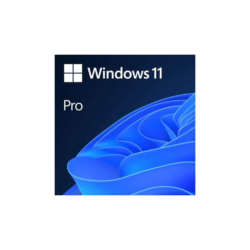 Microsoft Windows 11 Professional 64-bit OEM Software USB Drive
